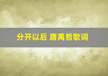 分开以后 唐禹哲歌词